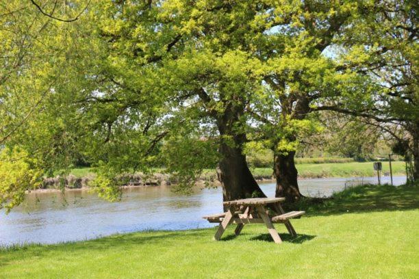 Camping Des 2 Rives- Chambres Etang-sur-Arroux Exteriör bild